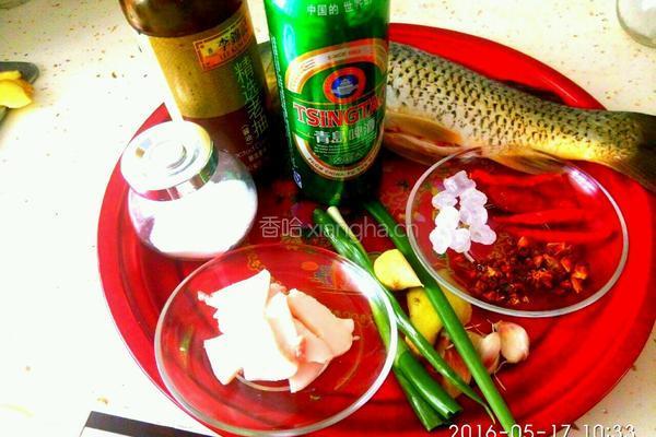啤酒炖鲤鱼的做法图解1