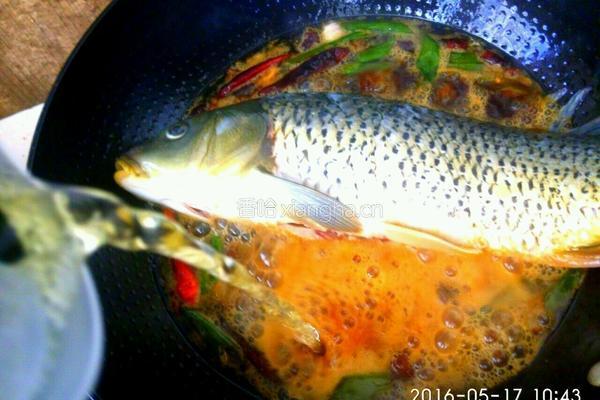 啤酒炖鲤鱼的做法图解4