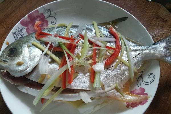 清蒸金鲳鱼的做法图解5