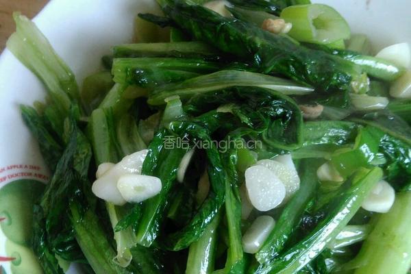 清炒油麦菜的做法图解4
