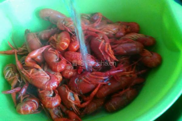 清蒸小龙虾的做法图解7