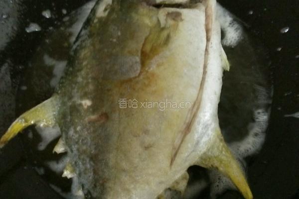 家常干烧鲤鱼的做法图解3