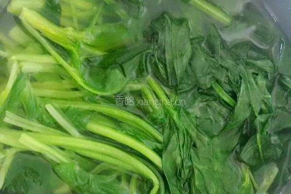 麻酱菠菜的做法图解5