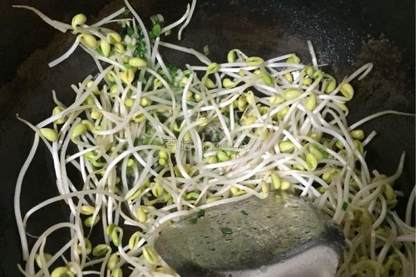 豆芽炒韭菜的做法图解3