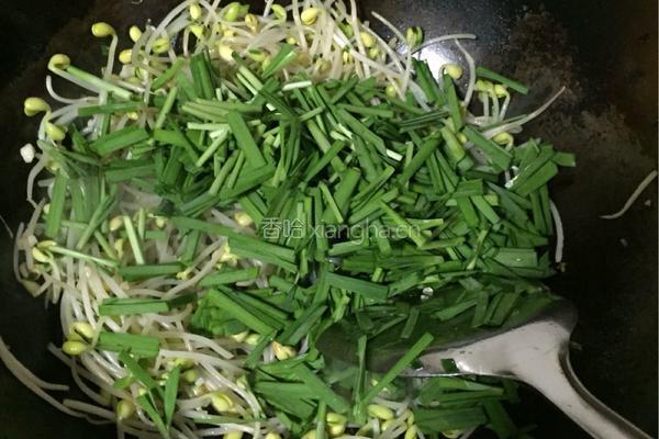 豆芽炒韭菜的做法图解4