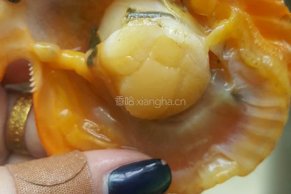 豉油蒜蓉蒸扇贝的做法图解5