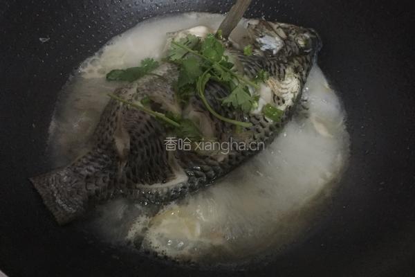 清炖罗非鱼的做法图解7