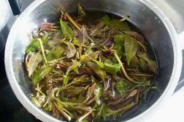 香椿蛋饼的做法图解1