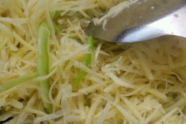 蒜蓉尖椒土豆丝的做法图解3