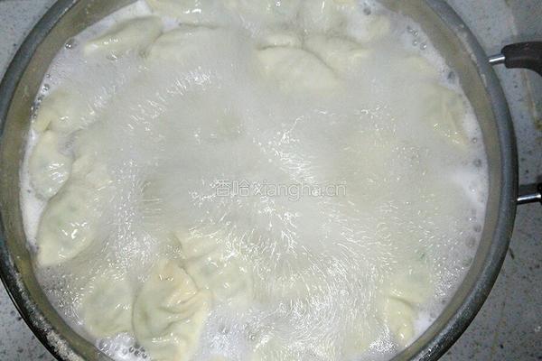 鲅鱼馅饺子的做法图解10