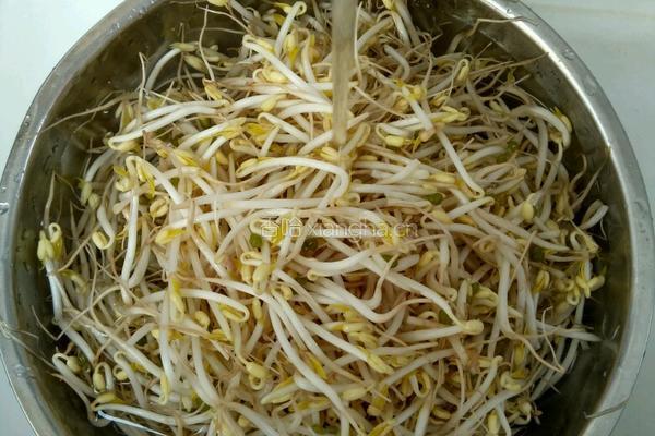 醋溜绿豆芽的做法图解1