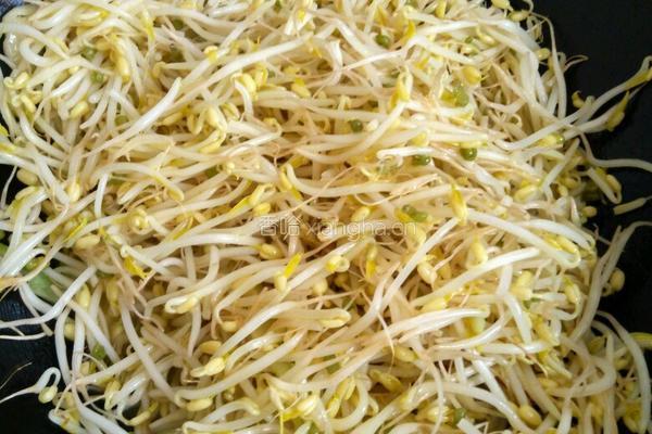 醋溜绿豆芽的做法图解4