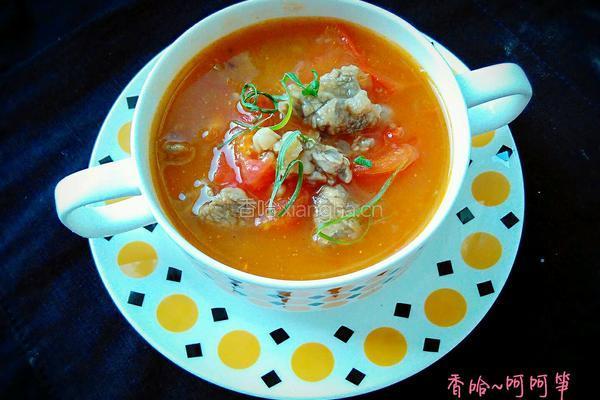番茄牛肉汤的做法图解19
