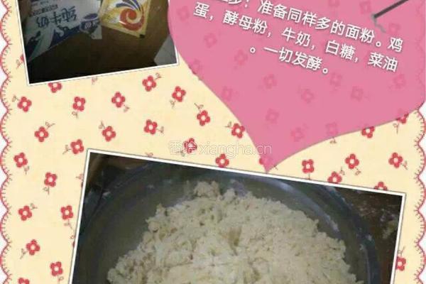 油饼的做法图解2