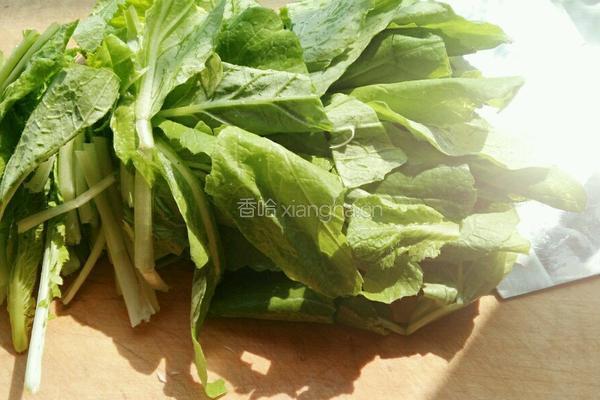小白菜炒杏鲍菇的做法图解4