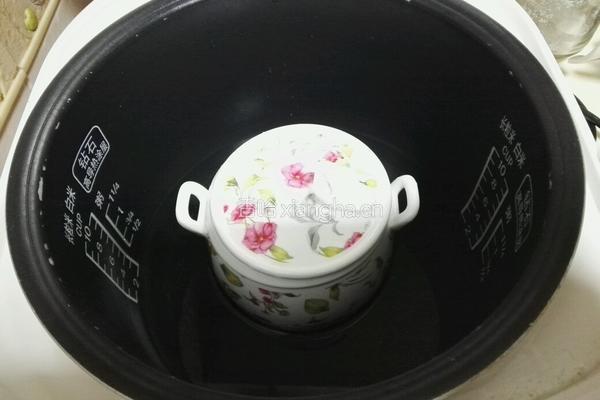 电饭锅木瓜炖牛奶的做法图解4
