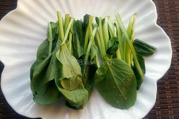 小白菜炖排骨的做法图解5