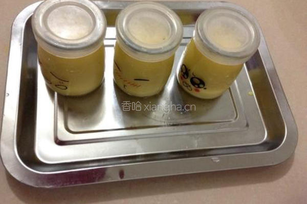 芒果布丁的做法图解6