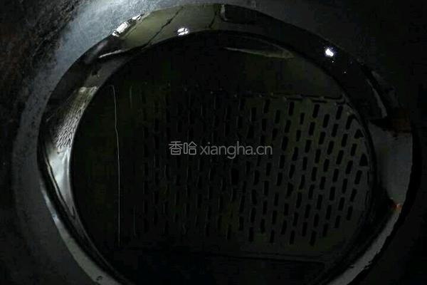岐山臊子肉的做法图解4