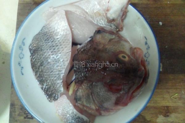 清蒸鲈鱼片的做法图解5