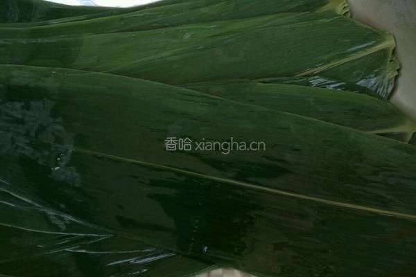粽子的做法图解1