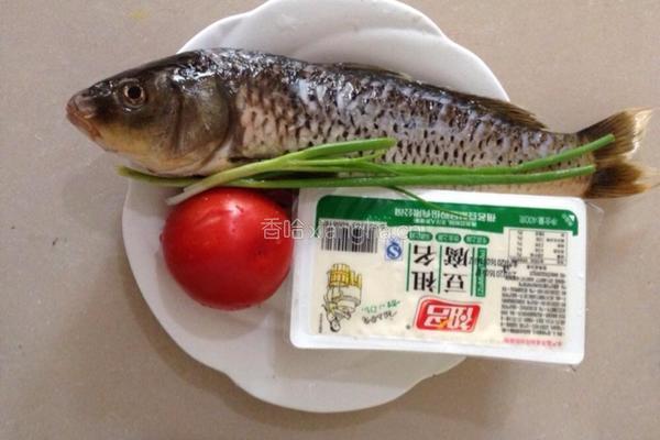 炖鲤鱼的做法图解1