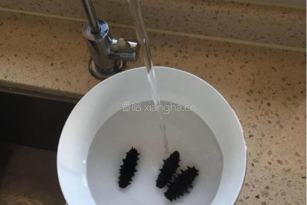 葱爆海参的做法图解1