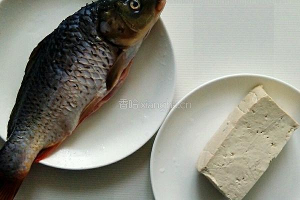 鲤鱼炖豆腐的做法图解1