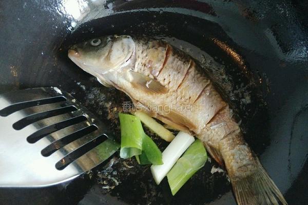 鲤鱼炖豆腐的做法图解5