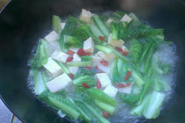 小白菜炖豆腐的做法图解5
