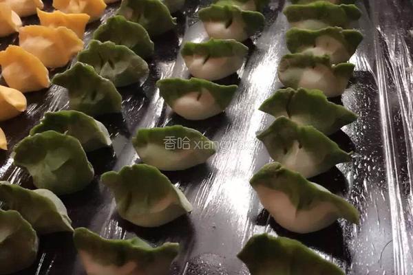 白菜水饺