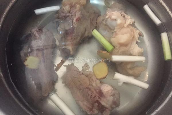 清炖大骨汤的做法图解4