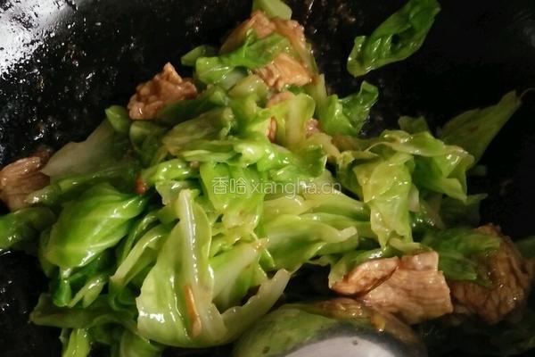 圆白菜炒肉的做法图解5