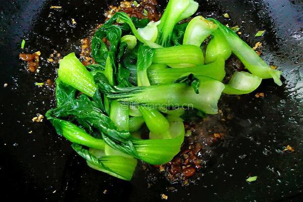 豆酱小油菜的做法图解6