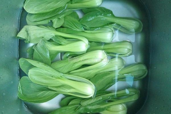 青菜豆腐的做法图解2