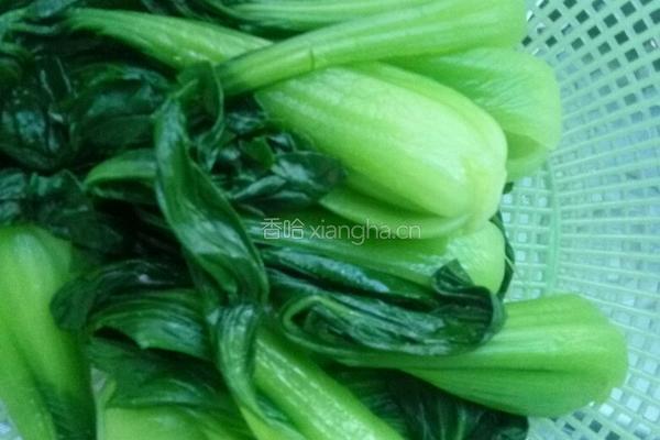 青菜豆腐的做法图解4