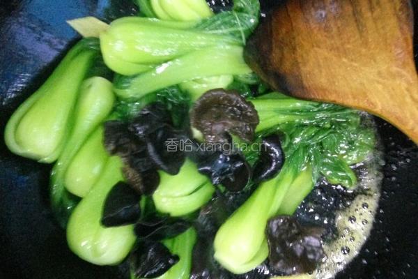 青菜豆腐的做法图解6
