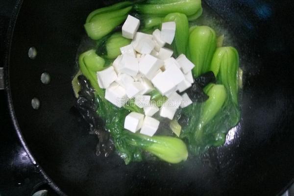 青菜豆腐的做法图解7