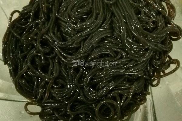 凉拌蕨根粉的做法图解4