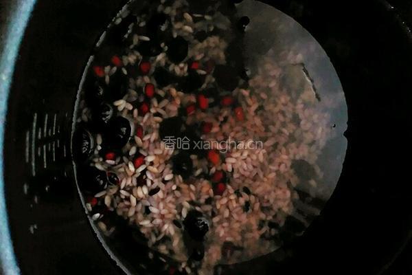 补气固脾八宝粥的做法图解5