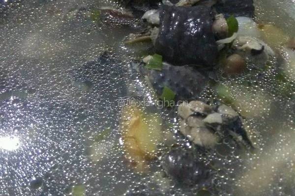 香茹乌鸡汤的做法图解5