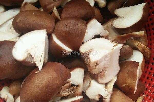 香茹乌鸡汤的做法图解3