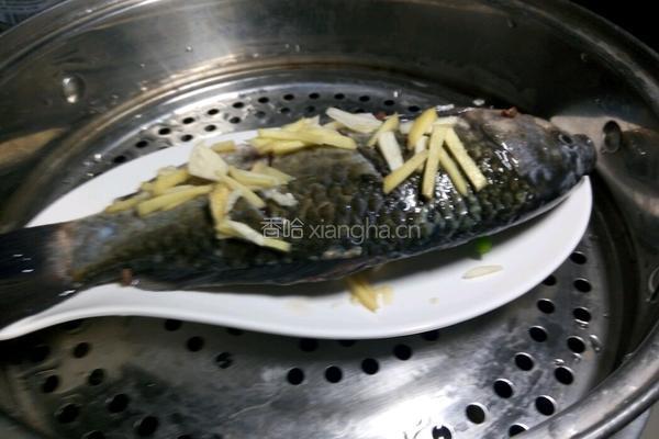 凉拌鲫鱼的做法图解7