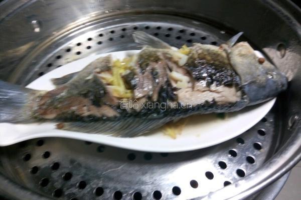 凉拌鲫鱼的做法图解9