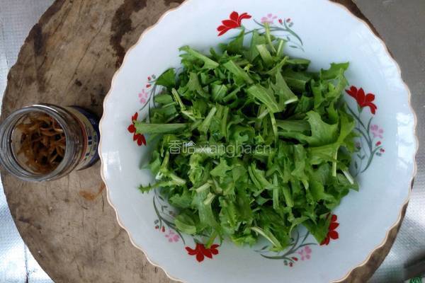 丁香鱼拌苦菊的做法图解4