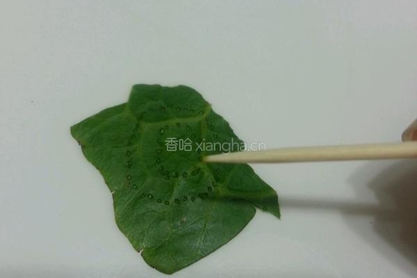 煮茶叶蛋的做法图解4
