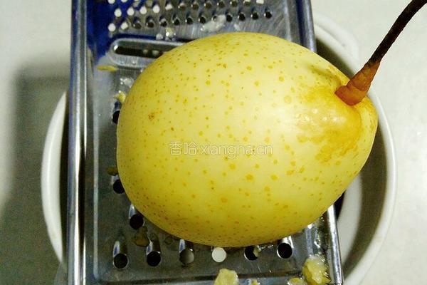 川贝雪梨膏的做法图解2