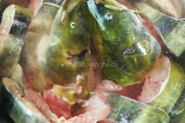 鱼炖豆腐的做法图解1