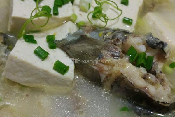 鲶鱼炖豆腐的做法图解14