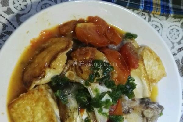 西红柿豆腐煎煮鱼的做法图解7